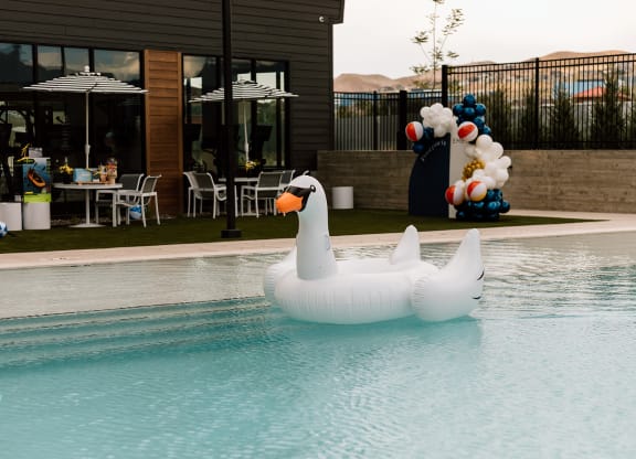 a inflatable swan in a swimming pool with a balloon arch in the background  at Embold, Lehi, UT, 84043