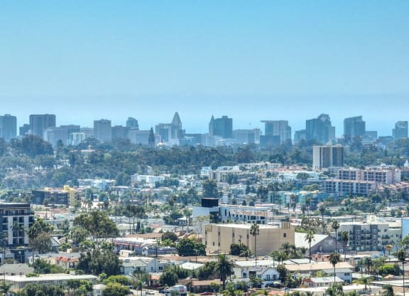 a view of the city with the city skyline in the background