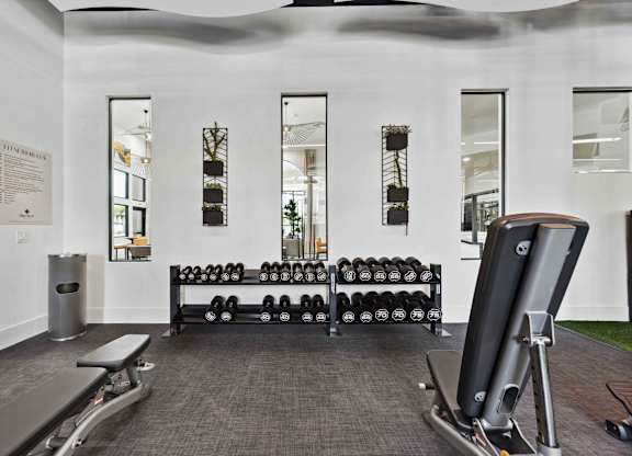 A gym with a row of dumbbells and a treadmill.