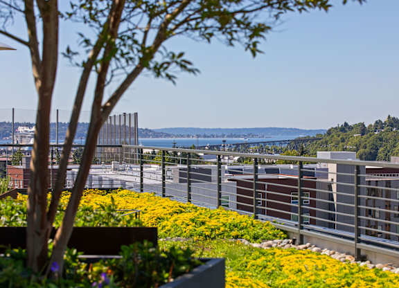 Bench in Garden at Axle, Seattle, WA, 98119