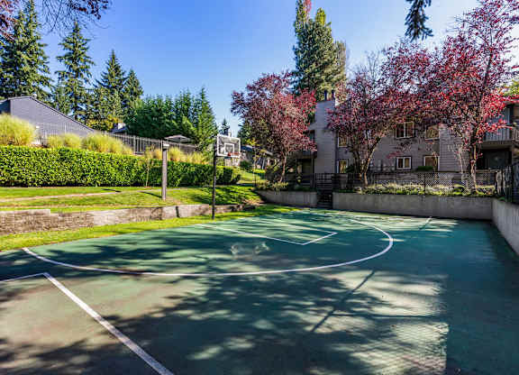 Outdoor basketball court with hoop and painted lines at Scout Apartments, Kirkland, Washington