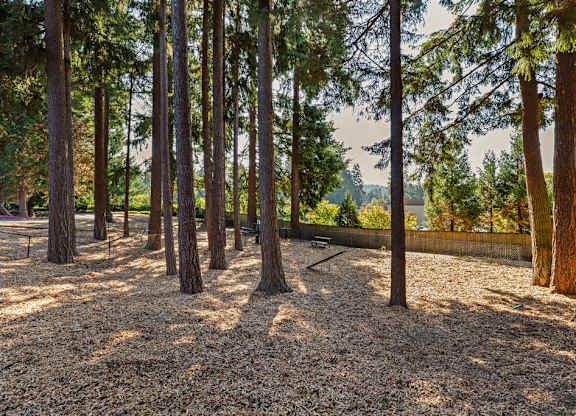 Wooded park area with tall trees and scenic views at Scout Apartments, Washington