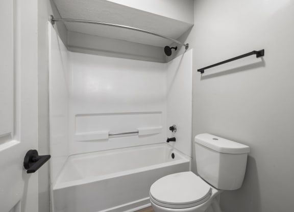 a bathroom with a toilet and a bath tub