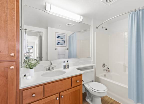 A bathroom with a white toilet, a sink with a mirror above it, and a shower with a blue curtain.