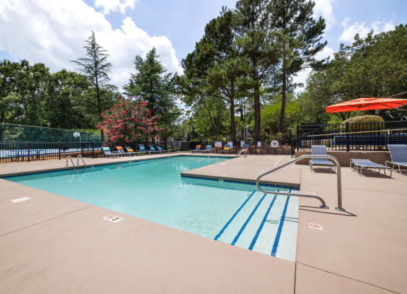 the swimming pool