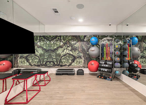 a fitness room with a wall mural of a forest with spheres and balls