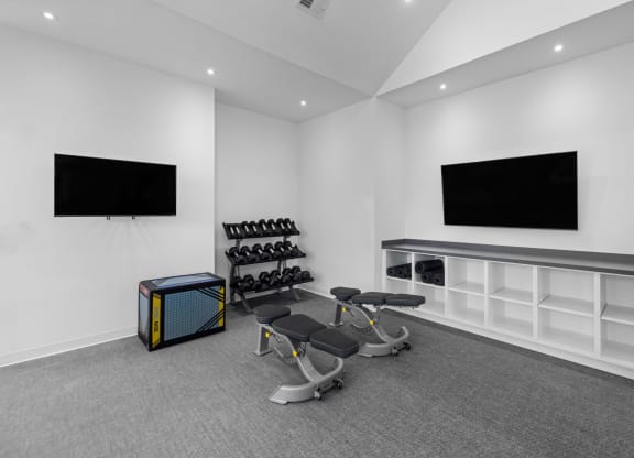 the gym with weights and a tv on the wall