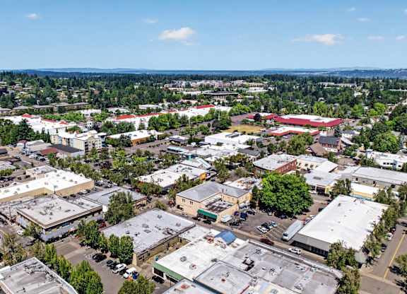 A bird's eye view of a city with buildings and trees.