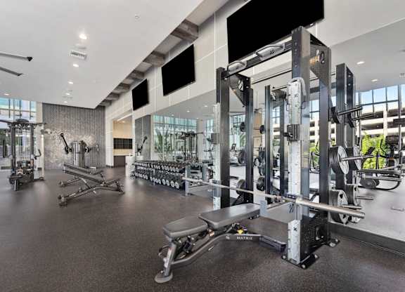 A gym with a variety of equipment including a squat rack.