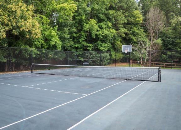the basketball/tennis court with trees in the background