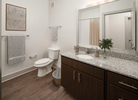 a bathroom with a toilet and a sink and a mirror