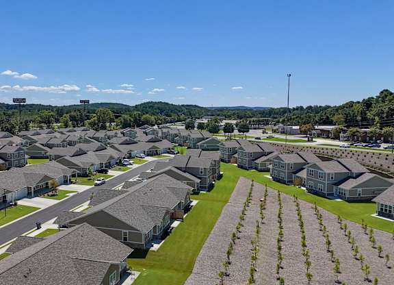 Neighborhood at The Ridge at Calhoun, Calhoun, Georgia