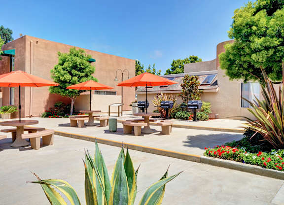 A sunny day at the outdoor seating area of a restaurant with orange umbrellas and benches.
