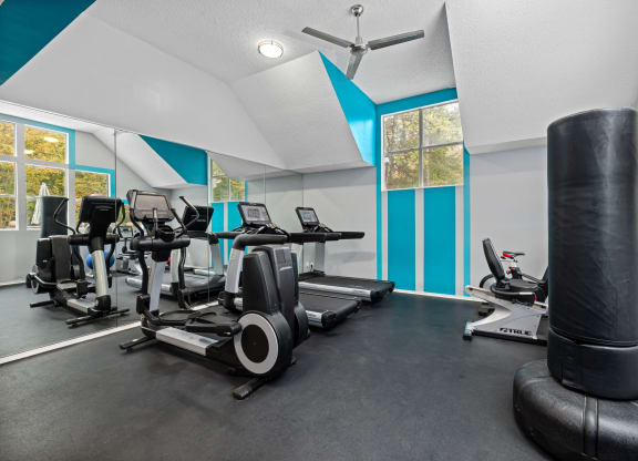 our gym has a lot of exercise equipment and windows