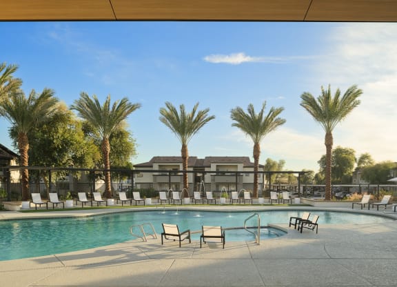 a swimming pool with chairs and palm trees