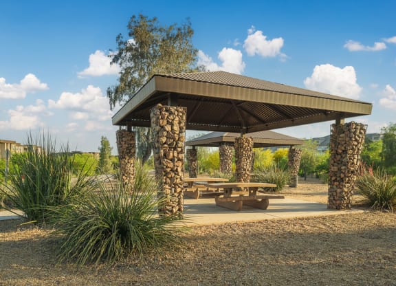 a picnic area with a picnic table and a pavilion