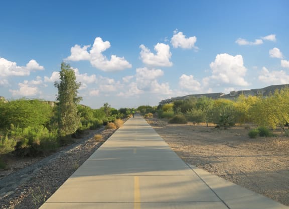 a long road with trees on both sides and a blue sky with clouds