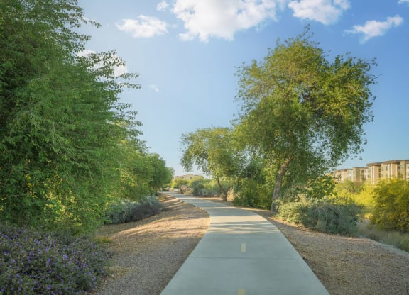 a road with trees on both sides and buildings on the side of the road