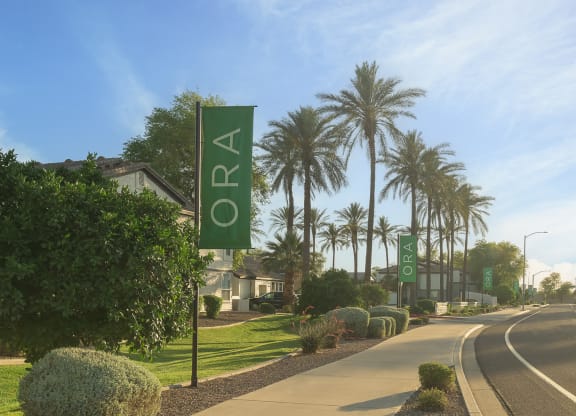 a street with palm trees and signs on the side of a road