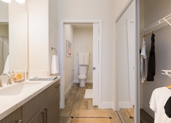 a bathroom with a sink and a toilet and a closet