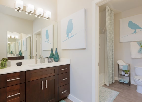 a bathroom with a large mirror and a sink and a toilet