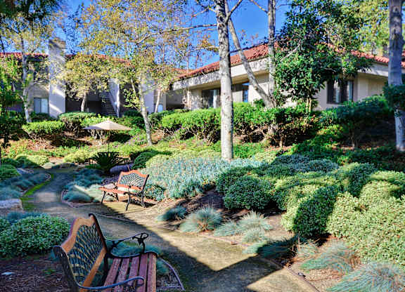 green space at Shadowridge Woodbend Apartments