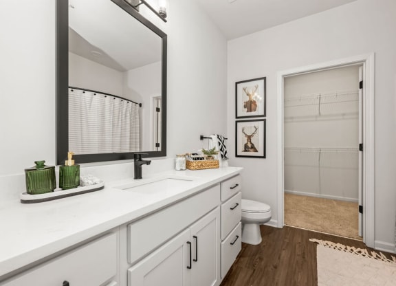 a bathroom with a large mirror and a toilet