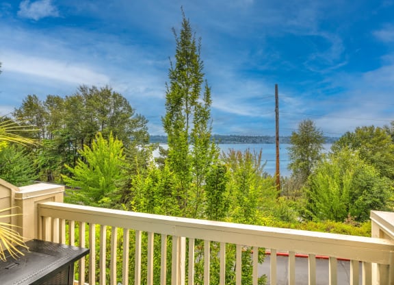 Bella Vista View Of Lake Washington