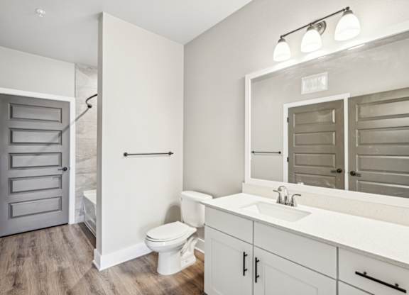a bathroom with a sink and a toilet and a mirror