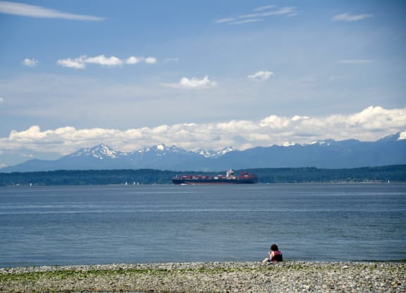 a woman sits on the beach with a ship in the background at Ion Town Center, Washington