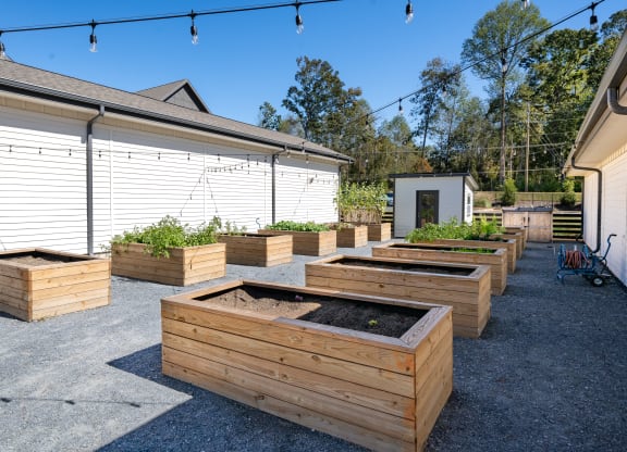 a community garden with raised beds and a house