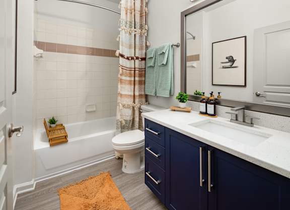 a bathroom with a sink and a toilet and a shower