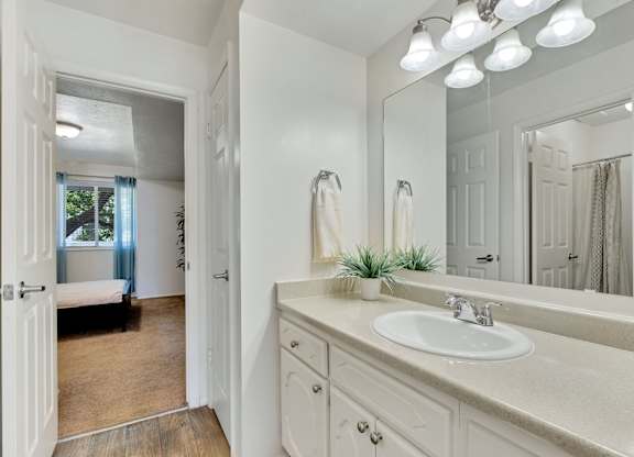 A bathroom with a sink, mirror, and a plant.