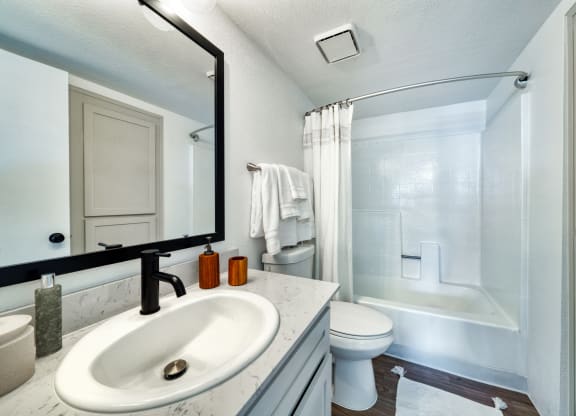 a bathroom with a sink and a toilet and a shower