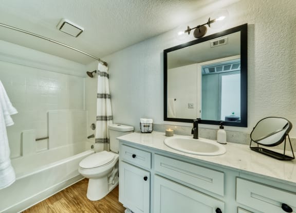 a bathroom with a sink toilet and shower and a mirror
