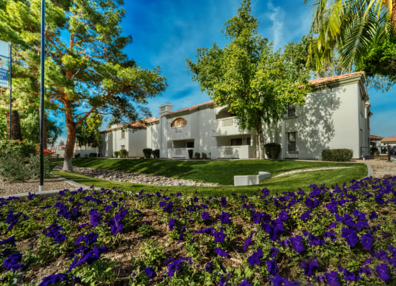 a garden with purple flowers in front of a house