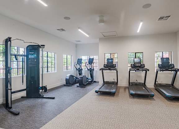 A gym with treadmills, elliptical machines, and a weight machine.