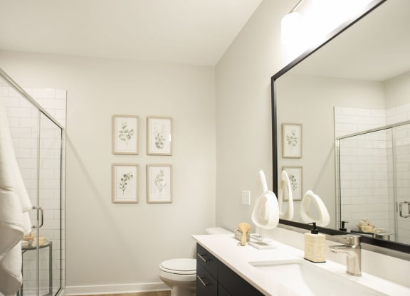 a bathroom with a mirror and a toilet and a sink