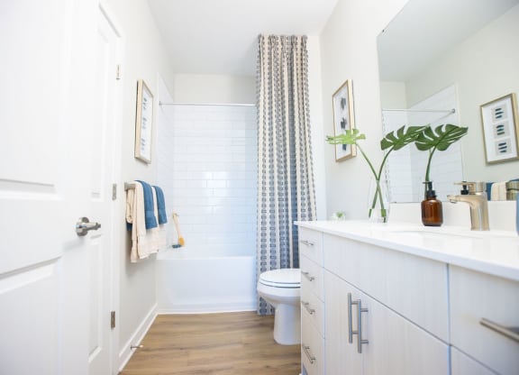 a white bathroom with a shower and a toilet