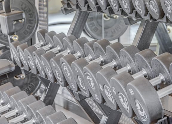 Free Weights at Embold, Lehi