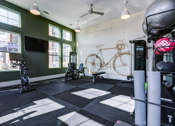 a gym with exercise equipment and a bike on the wall