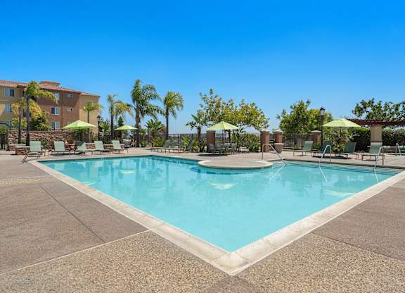 A large swimming pool surrounded by palm trees and lounge chairs.