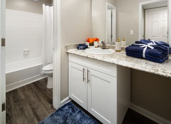 a bathroom with a sink and a toilet and a shower