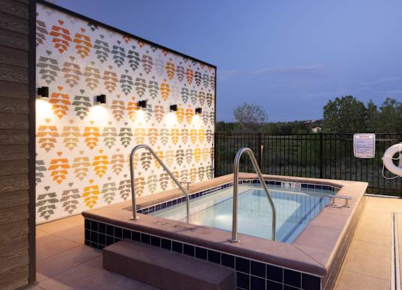 A small pool with a tiled edge and a metal ladder.