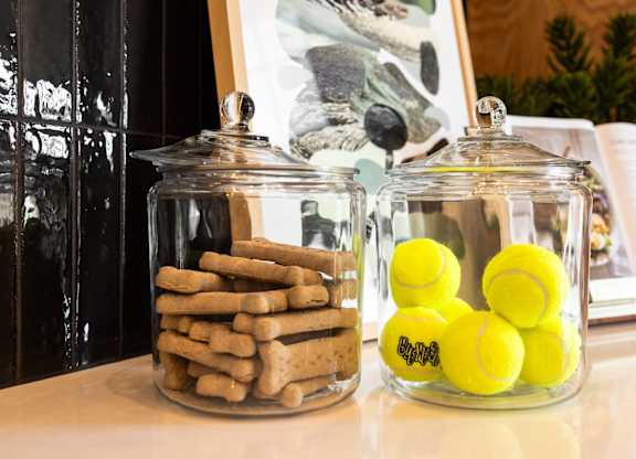 Jar full of treats and ball at The Allaso Peak, Colorado Springs