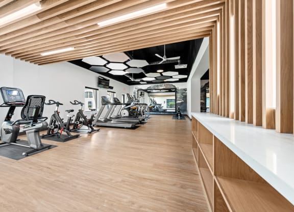 New Gym at La Privada with cardio machines and personal storage