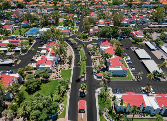 Sprawling resort-worthy community and palm trees