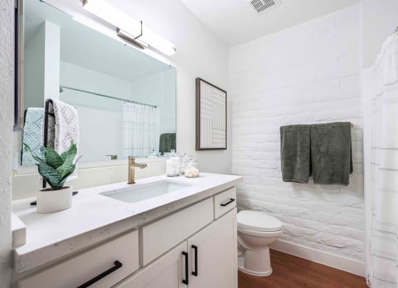 a bathroom with a sink and a toilet
