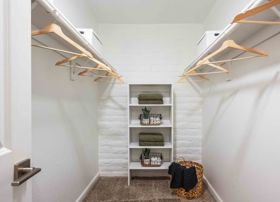 Oversized walk in closets 