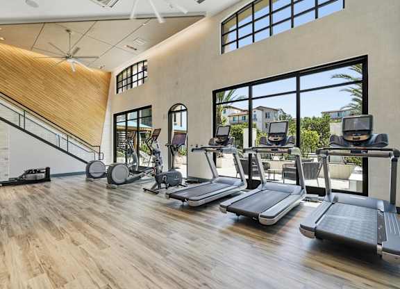 A gym with treadmills, weights and exercise equipment.